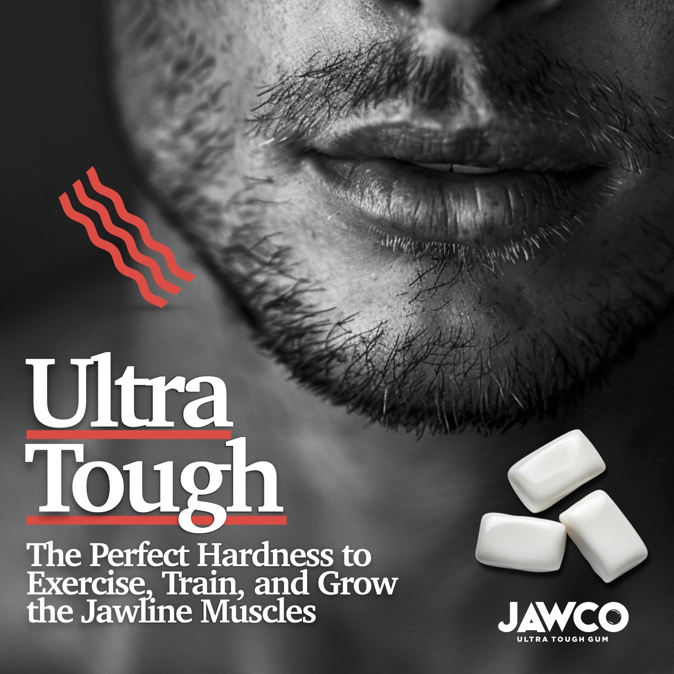 CHISELED CINNAMON JAWLINE GUM