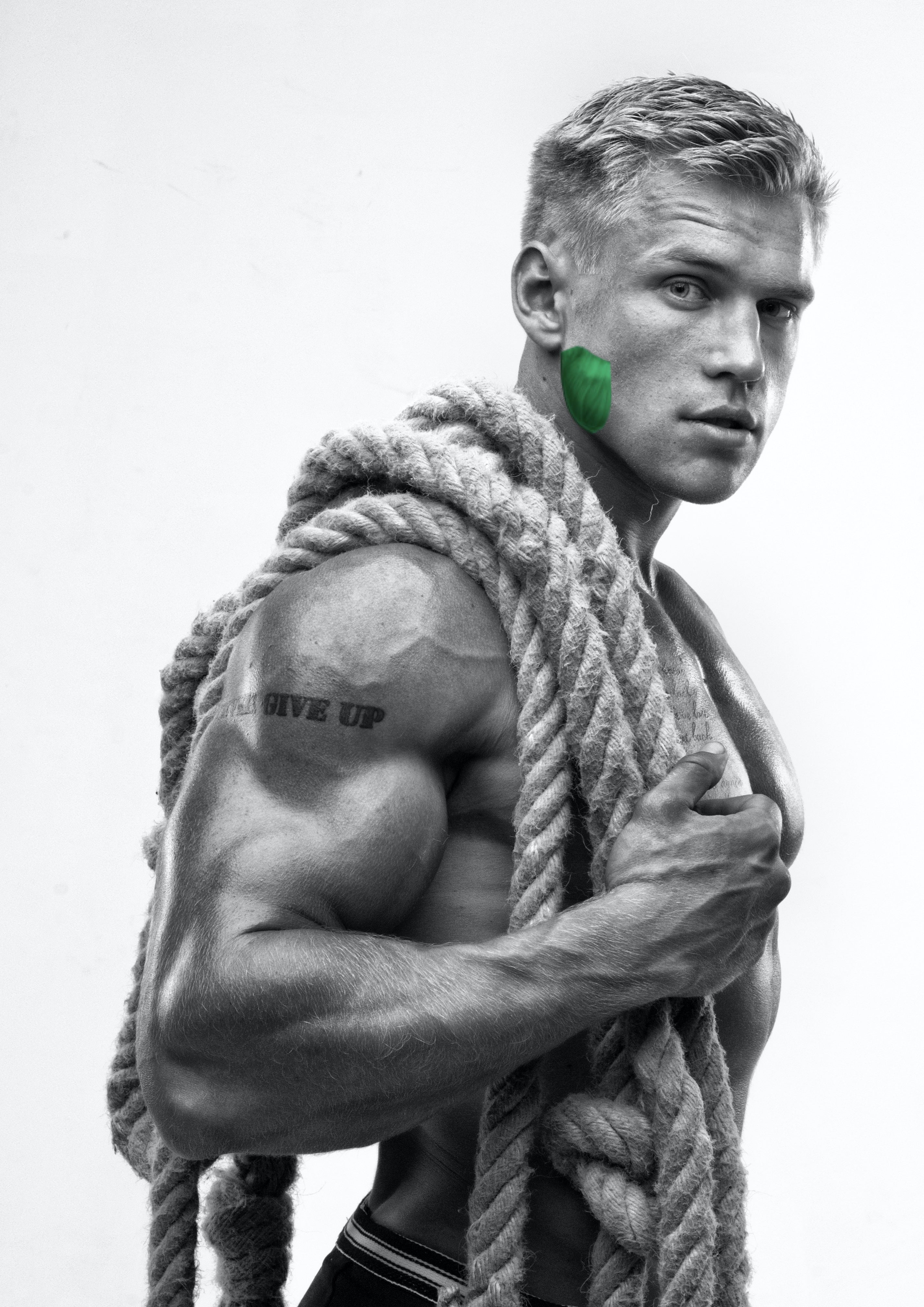 Adobestock 56871229 copy d828f3e2 31d1 4d18 ae12 6ab3695c4ce7